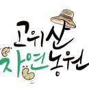 김천시농기계임대사업소동부지점 | [경주고위산자연농원/경주울산포항굼벵이] 2019년 김천시농업기술센터 기간제근로자 채용공고 (농촌지도과)