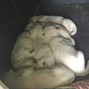 운주사주유소 이미지