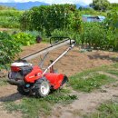 남울진농협 온정지점 이미지