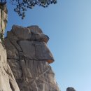 중봉민박 이미지