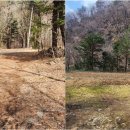 행정사법인 지음 이미지