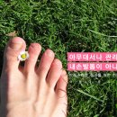 화명대로 이미지