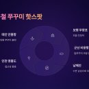 2025년 봄, 쭈꾸미 잘 잡히는 지역 총정리 🐙