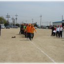 송해초등학교 이미지