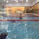 키즈웨일즈 이미지