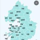 오다콜