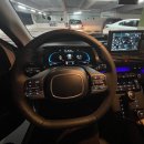 알파카프라자 이미지