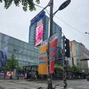 더뉴이스트 | 30대 체력 갈아 넣은 엔하이픈 블러드사가 콘서트 후기