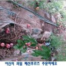 궁한옥민박 이미지