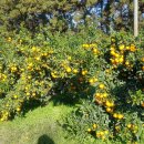 김창규농장 이미지