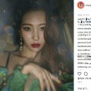 선미패션 이미지