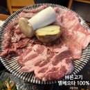 바른고기엘베요타서면 | [부산/서면] 바른고기 엘베요타/소고기 맛이나는 돼지고기 맛집/내돈내산