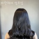 파란헤어 - 용인시 수지구 | 파란헤어