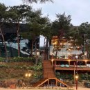 더미량(THE MIRYANG) 이미지