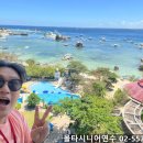 시니어 영어(심화) 이미지