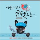 애견코리아 이미지