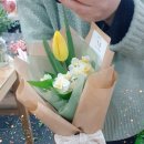 에코자인 이미지