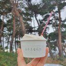 초당동주민센터 
건너편 이미지