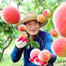 월봉농장 이미지