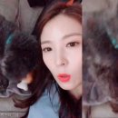 르송 카카오 검색결과