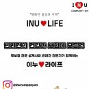 아이앤유컴퍼니온