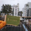 브라운도트 진하해수욕장점 이미지