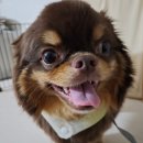 뽀송