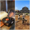 장동길농장 | 고창여행 숙소 감성 촌캉스 들꽃연가 &amp; 상하목장 글램핑