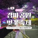 함안군 승마공원 청사 | 서울근교 벚꽃명소 추천 | 과천 경마공원 렛츠런파크 벚꽃축제 (주차 꿀팁)