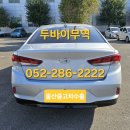 월드카용품점