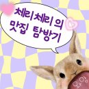 파도주점 이미지