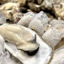 어달산오징어촌 이미지