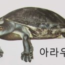 동남부화장 네이버블로그