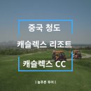 늘푸른투어