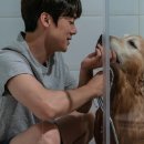 멍뭉이네 이미지