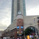 라바호텔 | 호주여행 7일차(2)_ 패디스마켓, 스위소텔 호텔, 오페라하우스-오페라바 후기💛