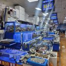 용이동 소로 2-674 | 노량진 맛집 대방어 모듬회 대게 저렴한 푸른바다 88수산