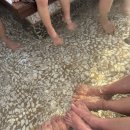 수안보족욕체험장 이미지