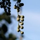 테라롯지흙집 이미지