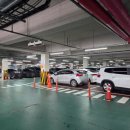 원조김치사랑 이미지