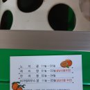 감귤밭 미즈허팜