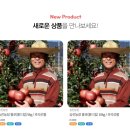 승진농장2 네이버블로그