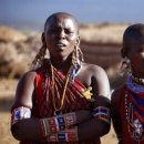 화석 2002 이미지