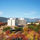 힐튼 경주 실외수영장 이미지