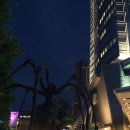 수진화장품 이미지