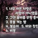 양현경 베스트6 이미지