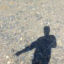 시냇물 농장 이미지