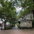 서울신발 - 보성군 예당중앙길 14-1 | 용산 아크로세탁소 오래된 샤넬 운동화 세탁 후기 서울 용산 명품세탁 명품 신발 세탁 추천
