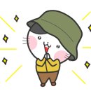 파브룸