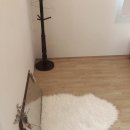 스테이-오롯 이미지